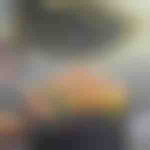 Daudzfunkcionāla nelīpoša panna | KOREPAN