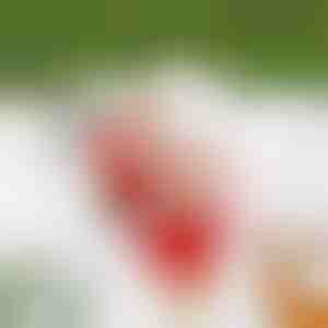 Kāpjošs Santa SANTACLIMB