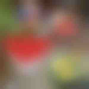 Perfekts olu vārītājs | BOILCUP