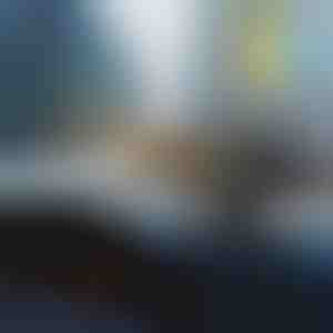 Auto sildītājs un atkausētājs | BREEZY