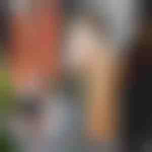 Celšanas un pārvietošanas siksnas (2 gab.) | DUOLIFTERS