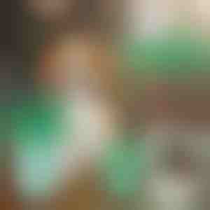 Suņu ķepu tīrīšanas trauks | PAWSANI