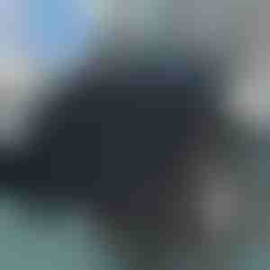 Grozāms sēdekļa spilvens | SPINPAD