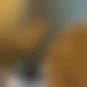 Dekoratīvās gaismas zaru formā | BRANCHLUMOS