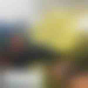 Ar roku darbināms mini drons FLASH