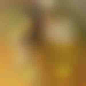 LED akrila tāfele ar 7 marķieriem | LUMOBOARD