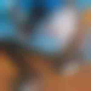 Regulējama slēpju plecu siksna | SKITREK