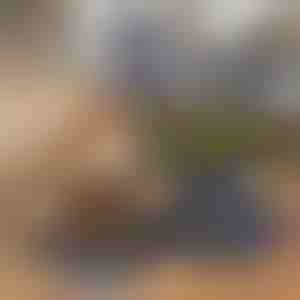 Salokāms 2-in-1 trauks lolojumdzīvnieku barībai un ūdenim | WOOFDISH