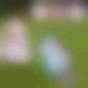 Staigājošs un dziedošs vienradzis | ROXY