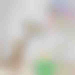 Elektriskā kaķu rotaļlieta putnu kairināšanai | BIRDIETOY