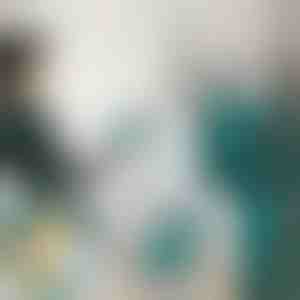 Mini tvaika gludeklis | FERROLITE