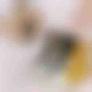 Kaķa ķepas zeķes (3 gab.) | GATOSOCKS