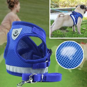 Regulējamas atstarojošās siksnas un pavadas | LEASHNGO