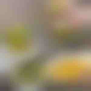 Tīrīšanas birste ar dozatoru un statīvu | BRUSKICA