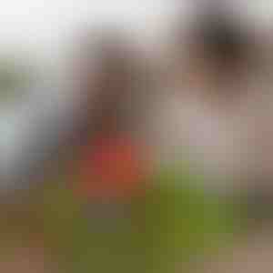 Magnētiskie minicraft klucīši (48 gab.) | MAGCRAFTI