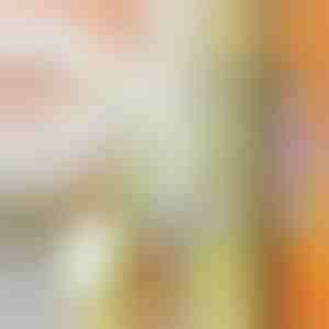 Daudzfunkcionālais smalcinātājs | SLICEWISE