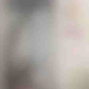 Magnētiskais tīkls pret odiem | INSECTPROTECT