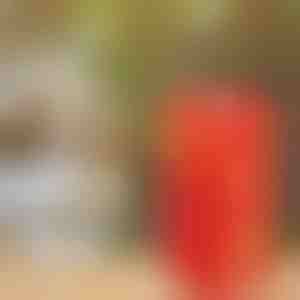 Burbuļu veidošanas iekārta | BUBBLEXPLODER