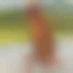 Dinozauru piepūšamais kostīms | TREXCOS