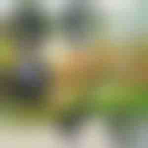 Dārza rīks 4 in 1 | VERSAX