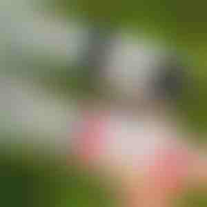 69 caurumu LED burbuļu pistole | BUBBLEPUFF