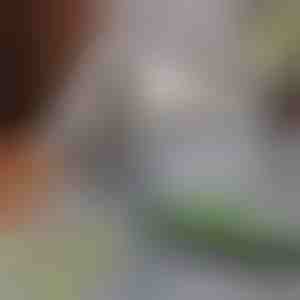 Mops mājdzīvnieku matu noņemšanai | PAWMOP