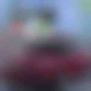 Labākā vasaras aizsardzība automašīnām! | CARCOVER