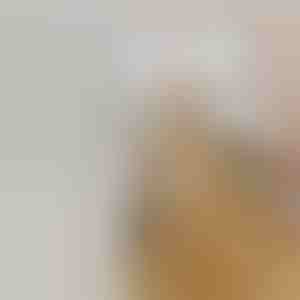 Uzlādējama izsmidzināma tvaika birste mājdzīvnieku izkārnījumiem | GROOMSY