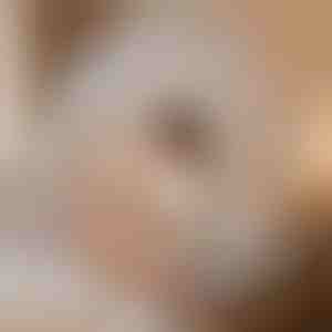 Odu guļamais telts, kas jūs aizsargā | BUGISTOP