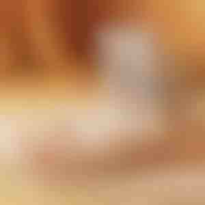 Ātrais apavu žāvētājs | DRYVATUS