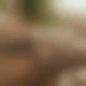 Magnētisks pašlīmējošs kabeļu organizators (12 gab.) | CABLIP