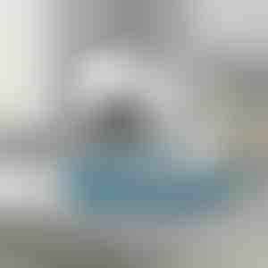 Universāls putekļsūcēja uzgalis grūti sasniedzamām vietām | DRYKIT