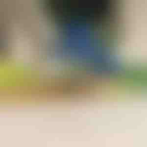 Elektriskais augļu un dārzeņu mizotājs | PEELMATIC